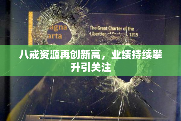 八戒资源再创新高，业绩持续攀升引关注