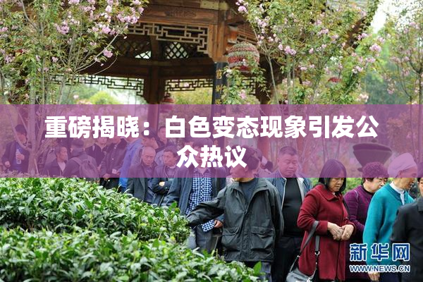 重磅揭晓：白色变态现象引发公众热议