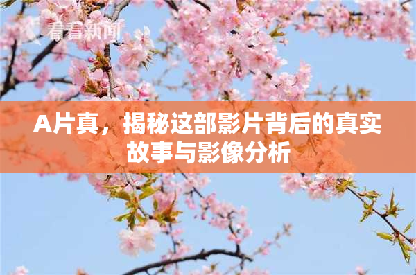 A片真，揭秘这部影片背后的真实故事与影像分析