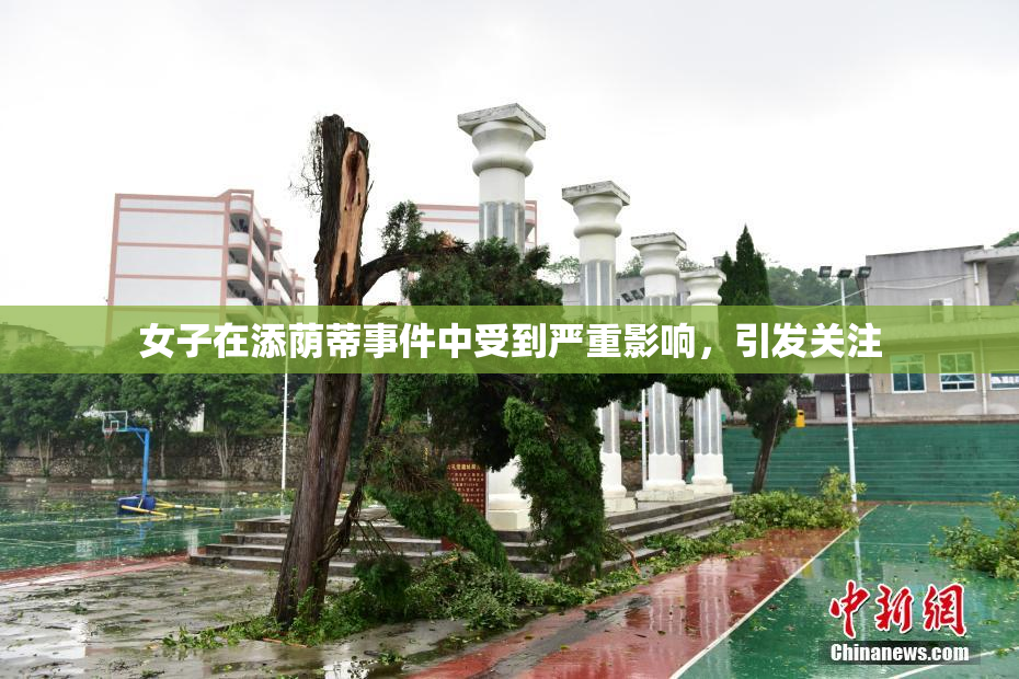 女子在添荫蒂事件中受到严重影响，引发关注