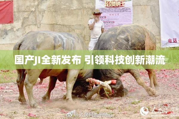 国产JI全新发布 引领科技创新潮流
