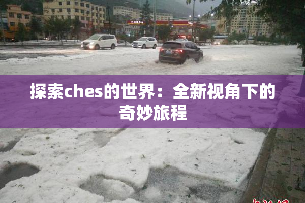 探索ches的世界：全新视角下的奇妙旅程