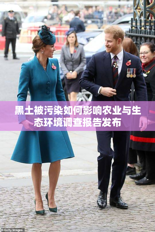 黑土被污染如何影响农业与生态环境调查报告发布