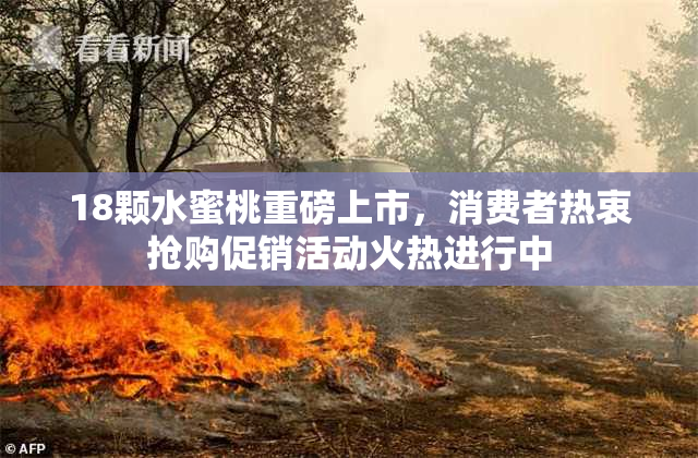 18颗水蜜桃重磅上市，消费者热衷抢购促销活动火热进行中