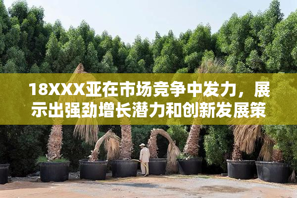 18XXX亚在市场竞争中发力，展示出强劲增长潜力和创新发展策略。