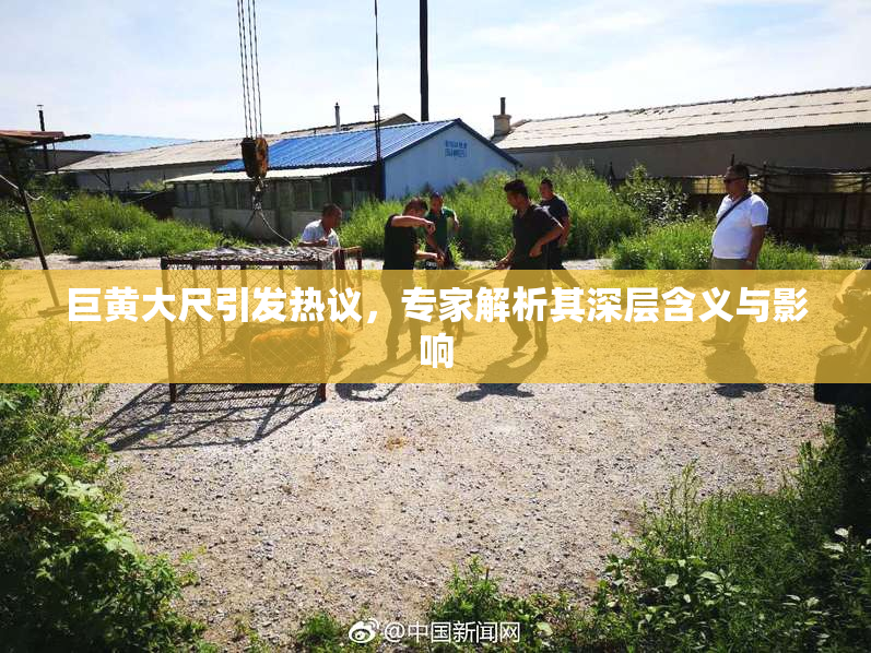 巨黄大尺引发热议，专家解析其深层含义与影响