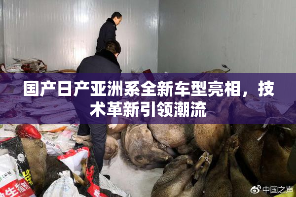 国产日产亚洲系全新车型亮相，技术革新引领潮流