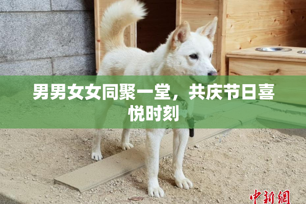 男男女女同聚一堂，共庆节日喜悦时刻