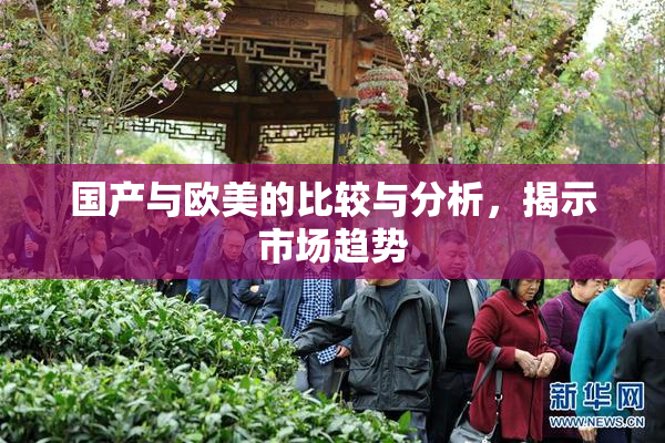 国产与欧美的比较与分析，揭示市场趋势