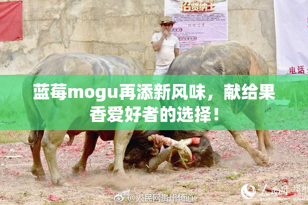 蓝莓mogu再添新风味，献给果香爱好者的选择！