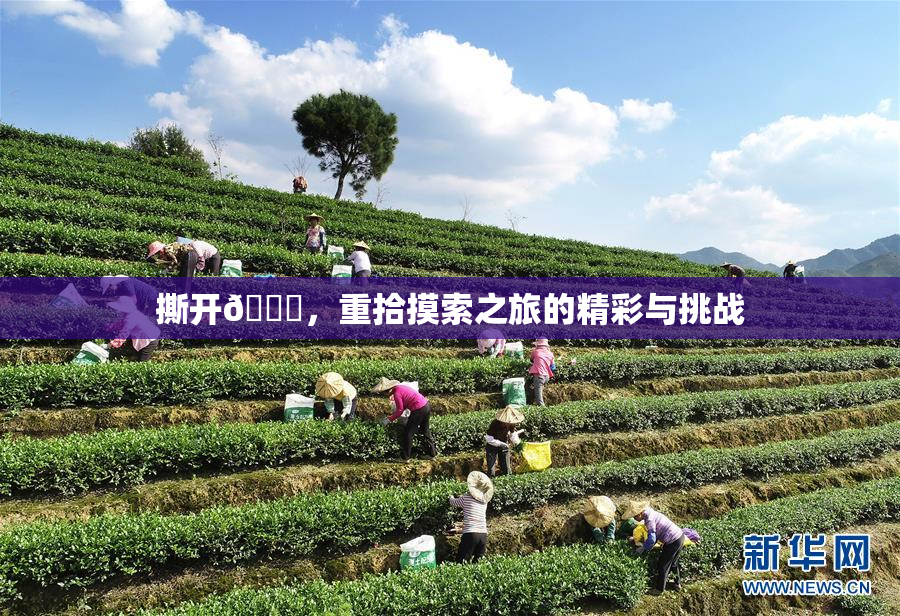 撕开👙，重拾摸索之旅的精彩与挑战