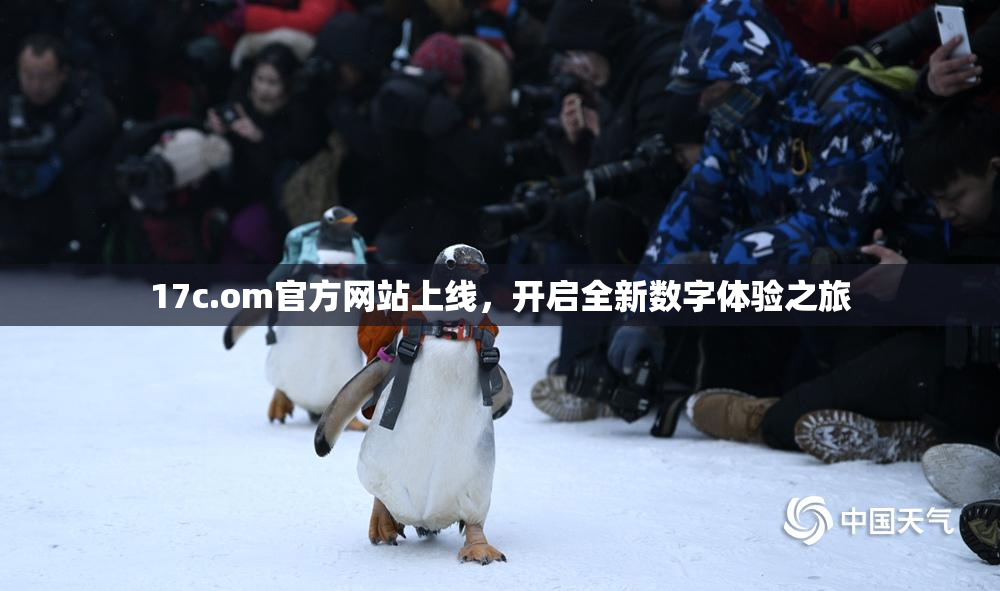 17c.om官方网站上线，开启全新数字体验之旅