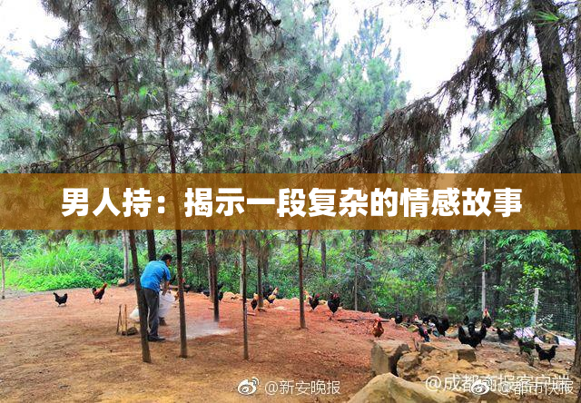 男人持：揭示一段复杂的情感故事