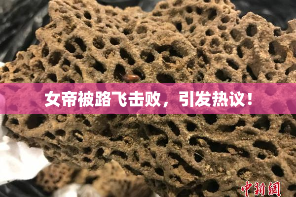 女帝被路飞击败，引发热议！