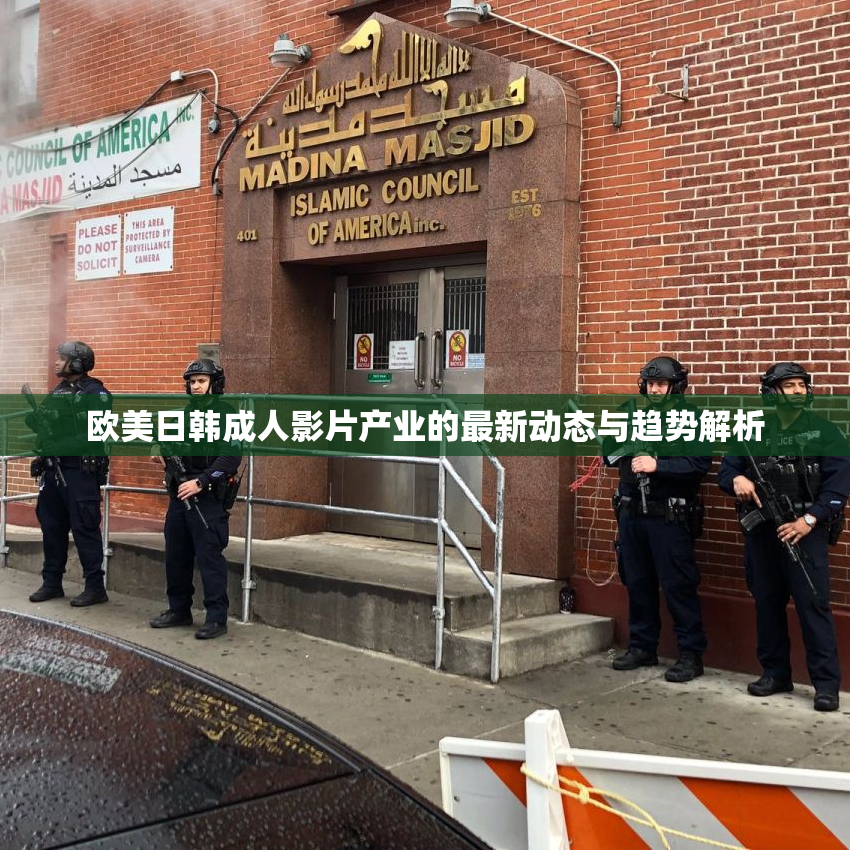 欧美日韩成人影片产业的最新动态与趋势解析
