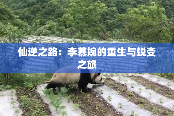 仙逆之路：李慕婉的重生与蜕变之旅