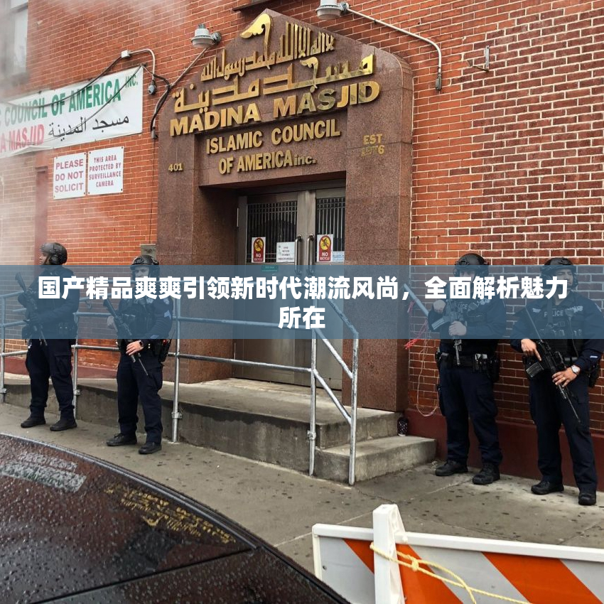 国产精品爽爽引领新时代潮流风尚，全面解析魅力所在