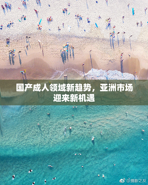国产成人领域新趋势，亚洲市场迎来新机遇