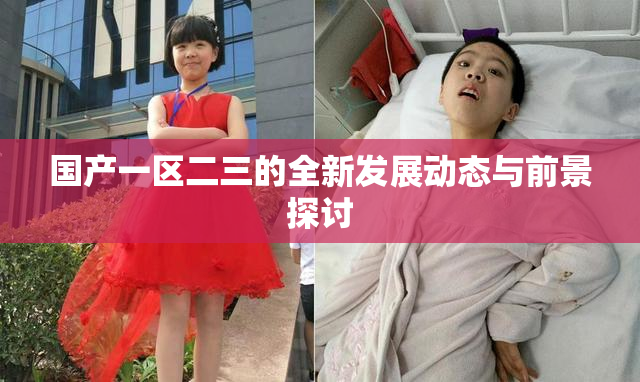 国产一区二三的全新发展动态与前景探讨