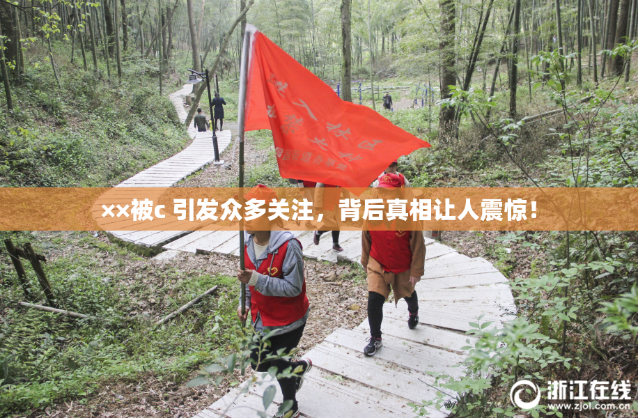 ××被c 引发众多关注，背后真相让人震惊！