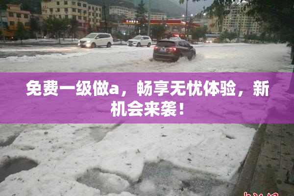 免费一级做a，畅享无忧体验，新机会来袭！