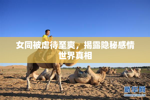 女同被虐待至爽，揭露隐秘感情世界真相