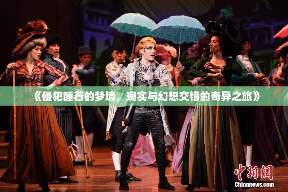 《侵犯睡着的梦境，现实与幻想交错的奇异之旅》