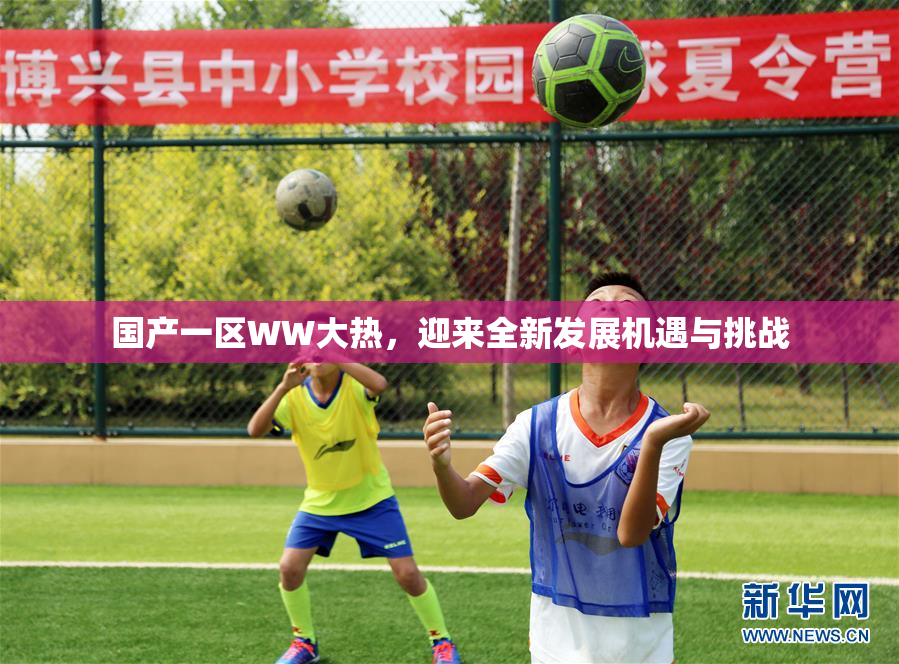 国产一区WW大热，迎来全新发展机遇与挑战