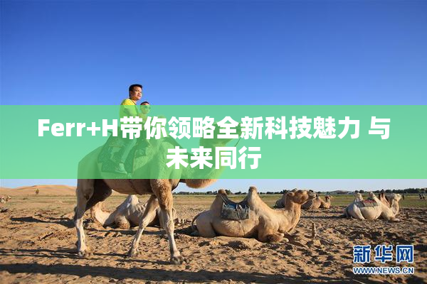 Ferr+H带你领略全新科技魅力 与未来同行