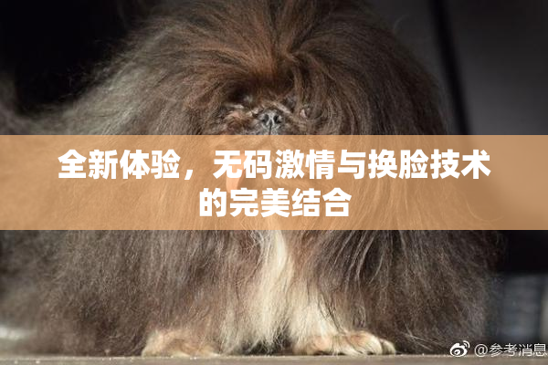 全新体验，无码激情与换脸技术的完美结合