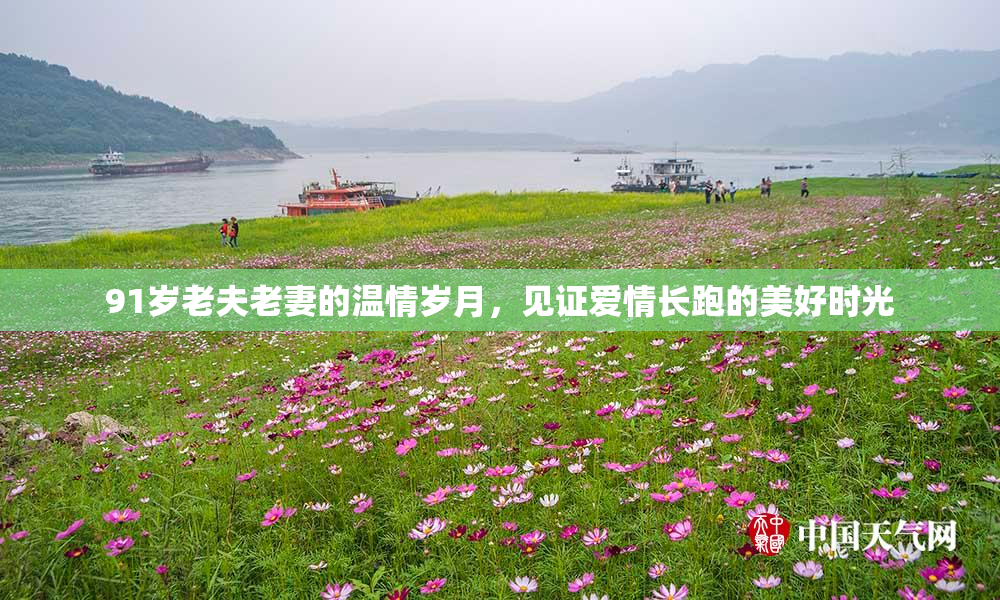 91岁老夫老妻的温情岁月，见证爱情长跑的美好时光