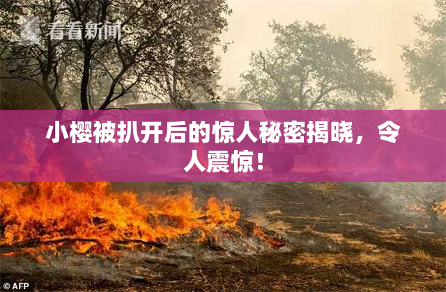小樱被扒开后的惊人秘密揭晓，令人震惊！