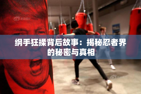 纲手狂揉背后故事：揭秘忍者界的秘密与真相