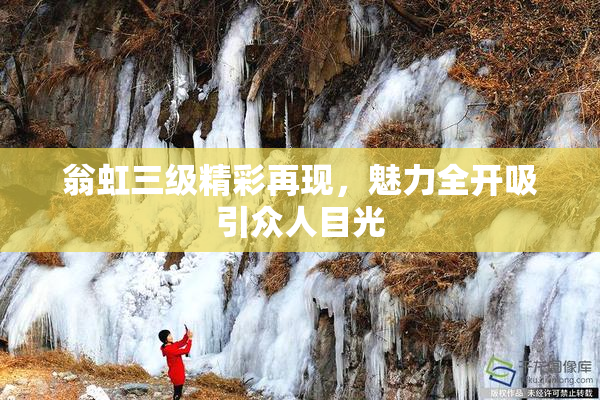 翁虹三级精彩再现，魅力全开吸引众人目光