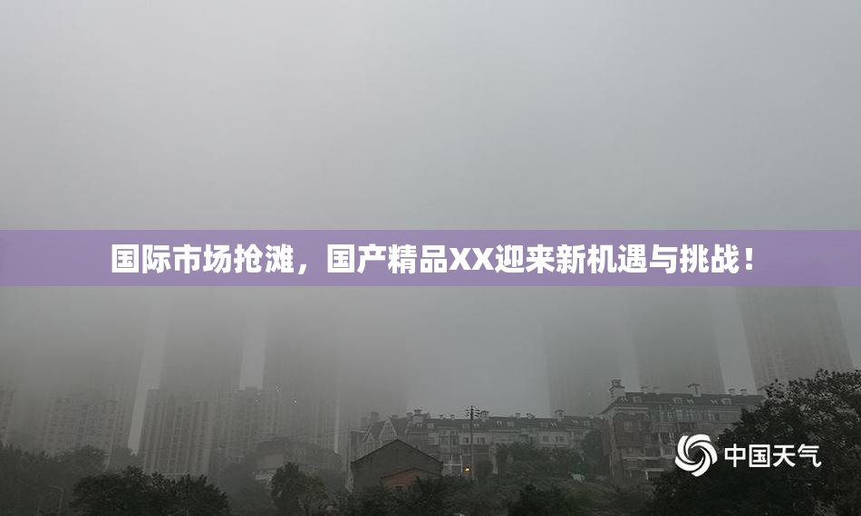 国际市场抢滩，国产精品XX迎来新机遇与挑战！