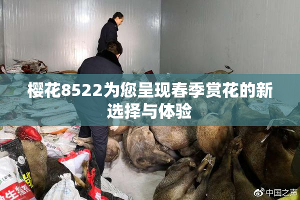 樱花8522为您呈现春季赏花的新选择与体验