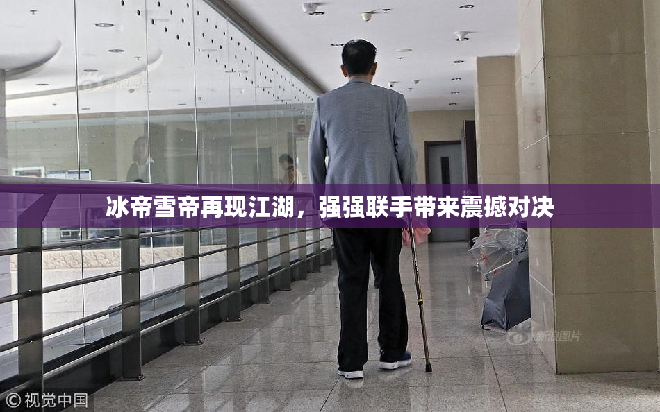 冰帝雪帝再现江湖，强强联手带来震撼对决