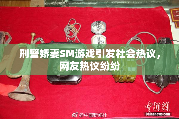 刑警娇妻SM游戏引发社会热议，网友热议纷纷