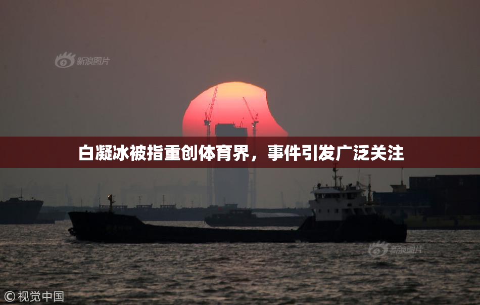 白凝冰被指重创体育界，事件引发广泛关注