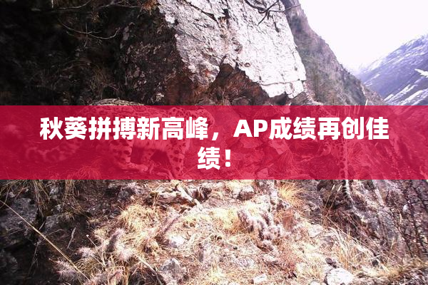 秋葵拼搏新高峰，AP成绩再创佳绩！