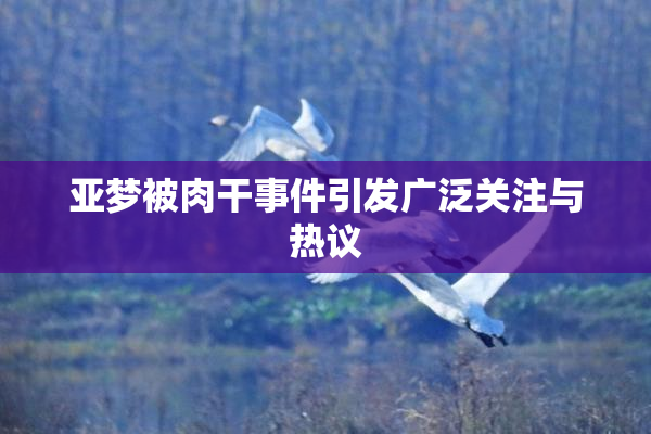 亚梦被肉干事件引发广泛关注与热议