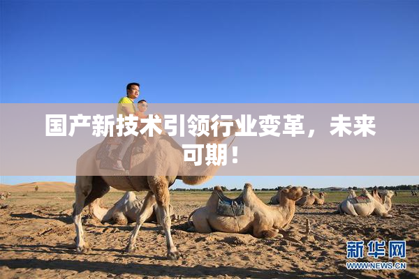 国产新技术引领行业变革，未来可期！
