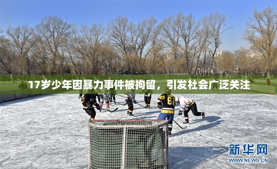 17岁少年因暴力事件被拘留，引发社会广泛关注