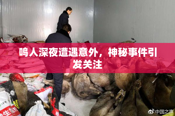 鸣人深夜遭遇意外，神秘事件引发关注
