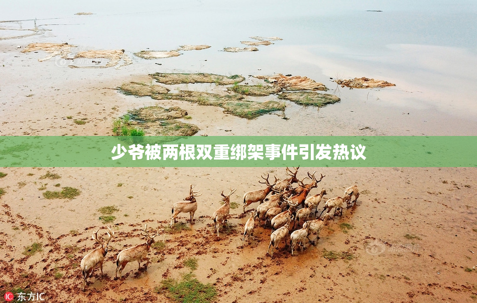 少爷被两根双重绑架事件引发热议
