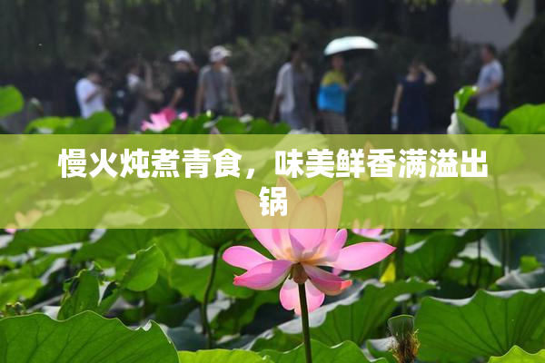 慢火炖煮青食，味美鲜香满溢出锅