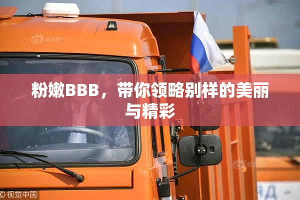 粉嫩BBB，带你领略别样的美丽与精彩