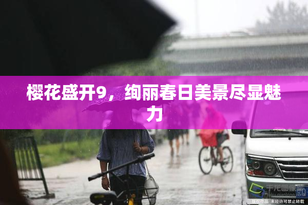 樱花盛开9，绚丽春日美景尽显魅力