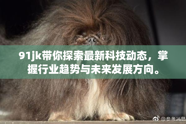 91jk带你探索最新科技动态，掌握行业趋势与未来发展方向。