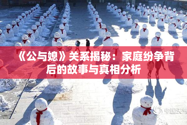 《公与媳》关系揭秘：家庭纷争背后的故事与真相分析